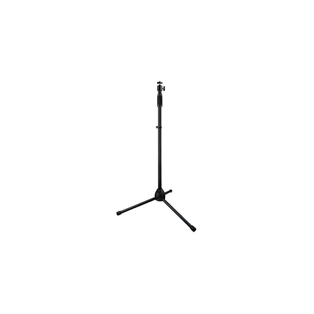 standy standy