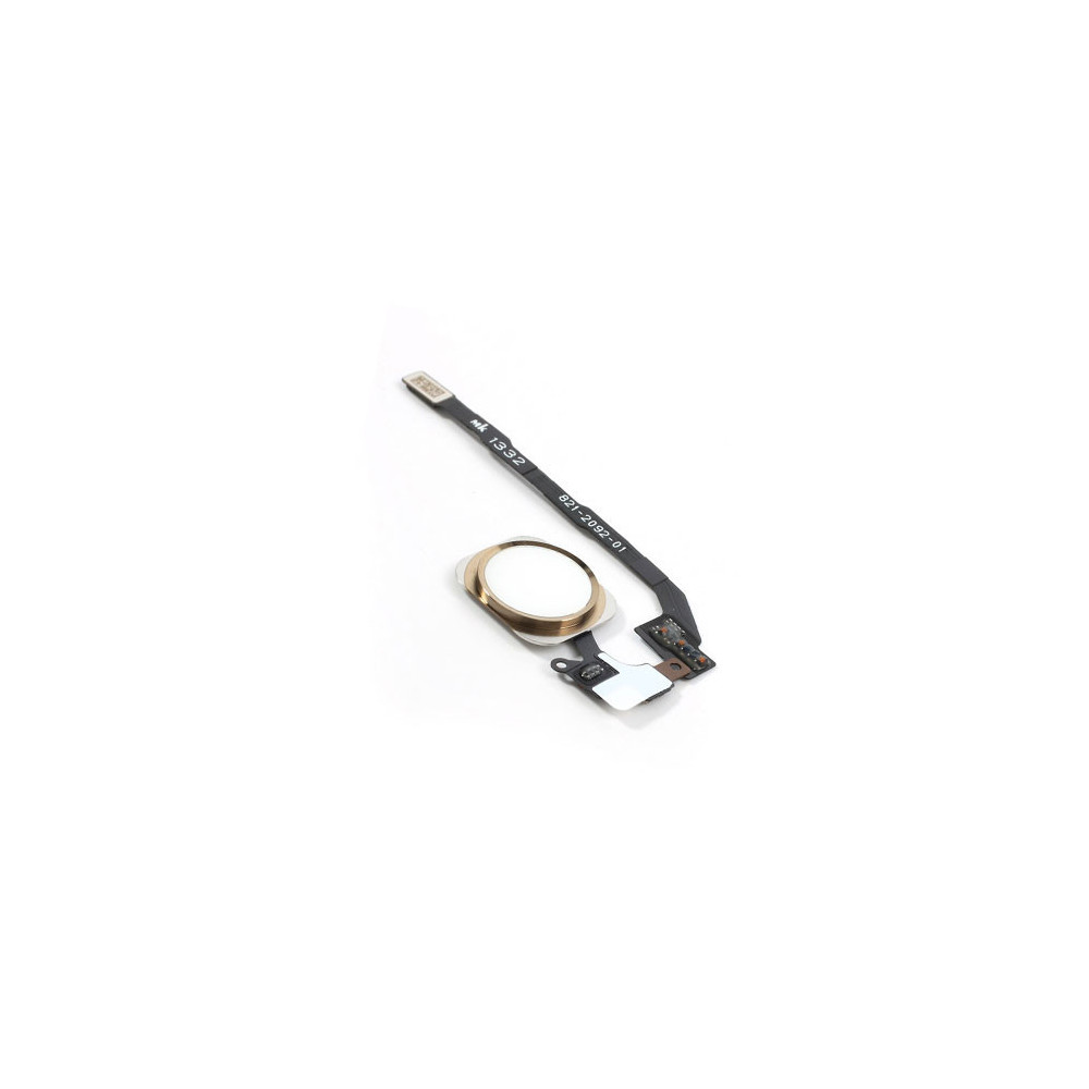 5SGOLD