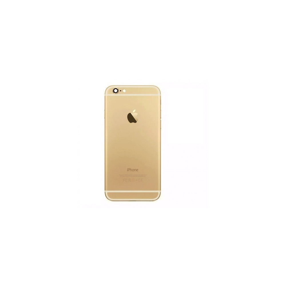 TAMPA 6S GOLD