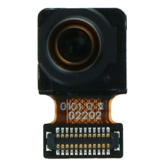 p40 front