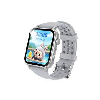 Borofone BD15 Silver Smartwatch